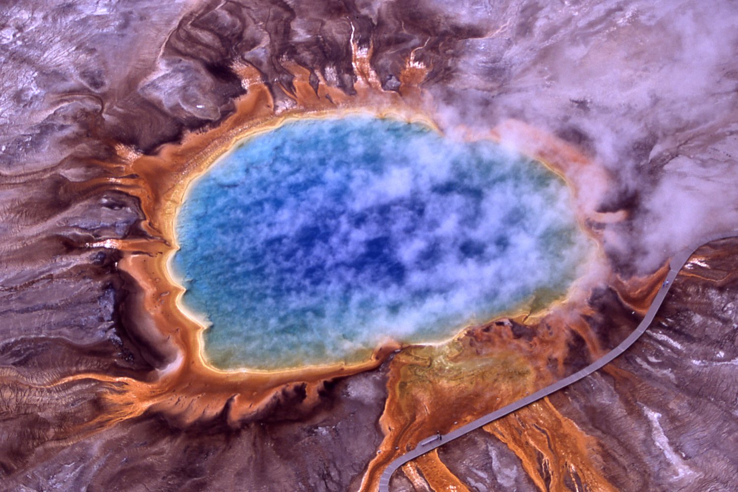 The rings of Grand Prismatic Spring, blue at the centre and orange at the rim.