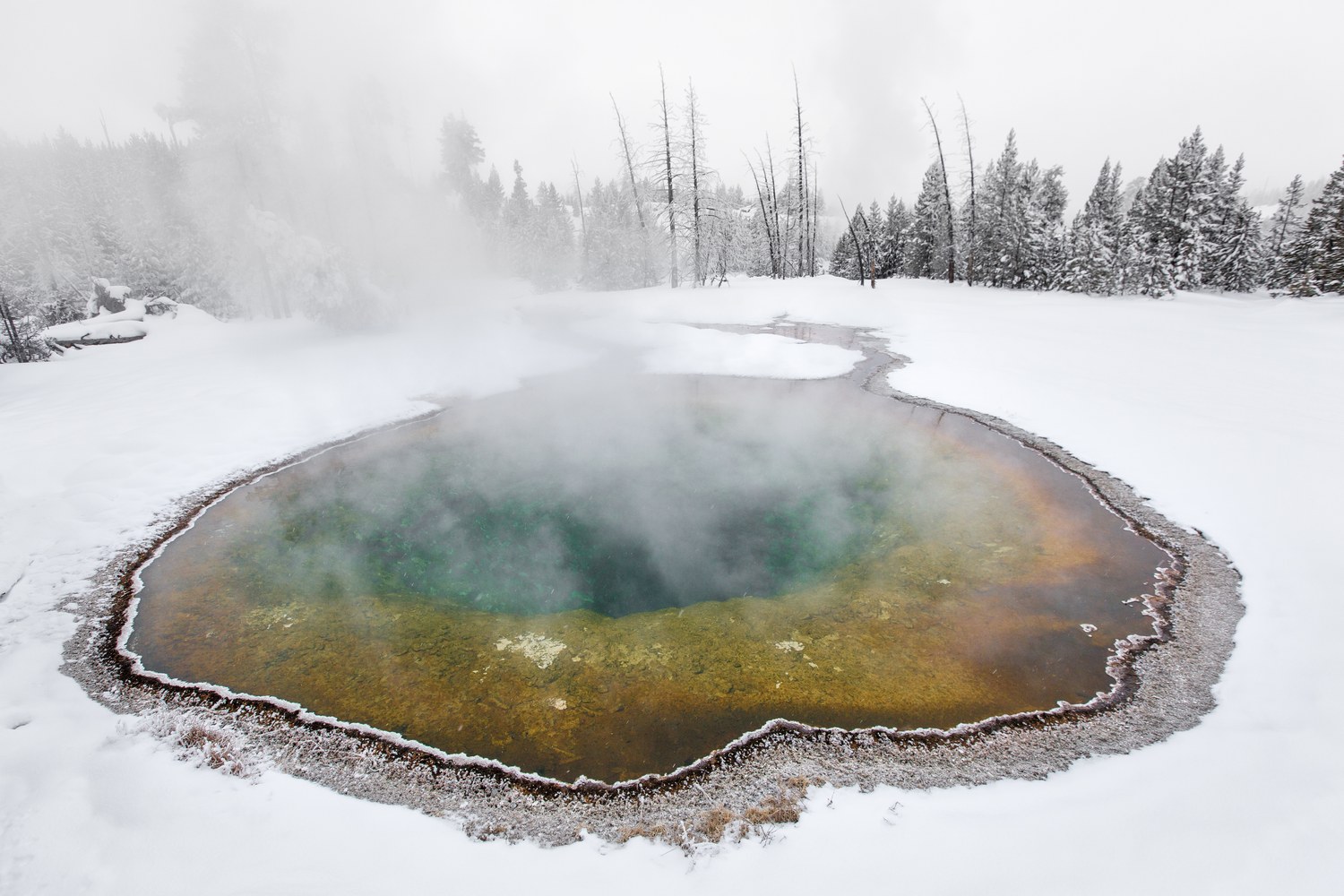The blue and yellow rings of Morning Glory Pool with steam rising off the water.