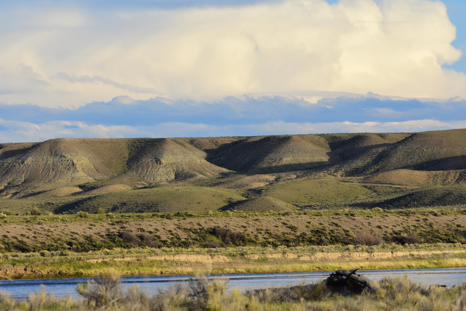 The Green River wide and slow through the Seedskadee refuge.